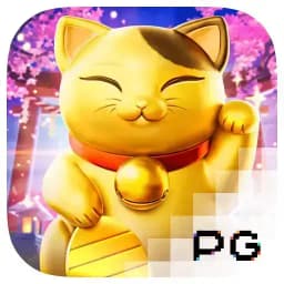 stockholmbigair: Lucky Neko